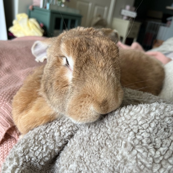 Meet your Posher, Ali - Picture 2 of 3